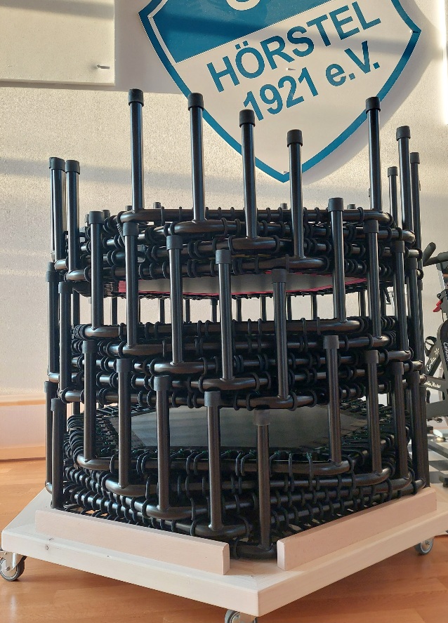 0241JumpingFitnessRollwagen03052023