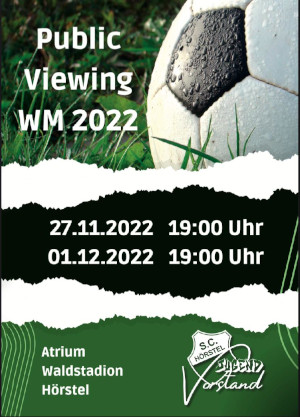 Public Viewing WM 2022